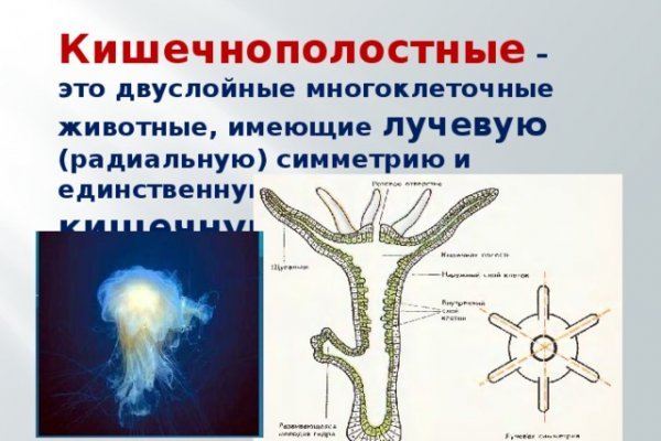 Kraken оригинальная ссылка